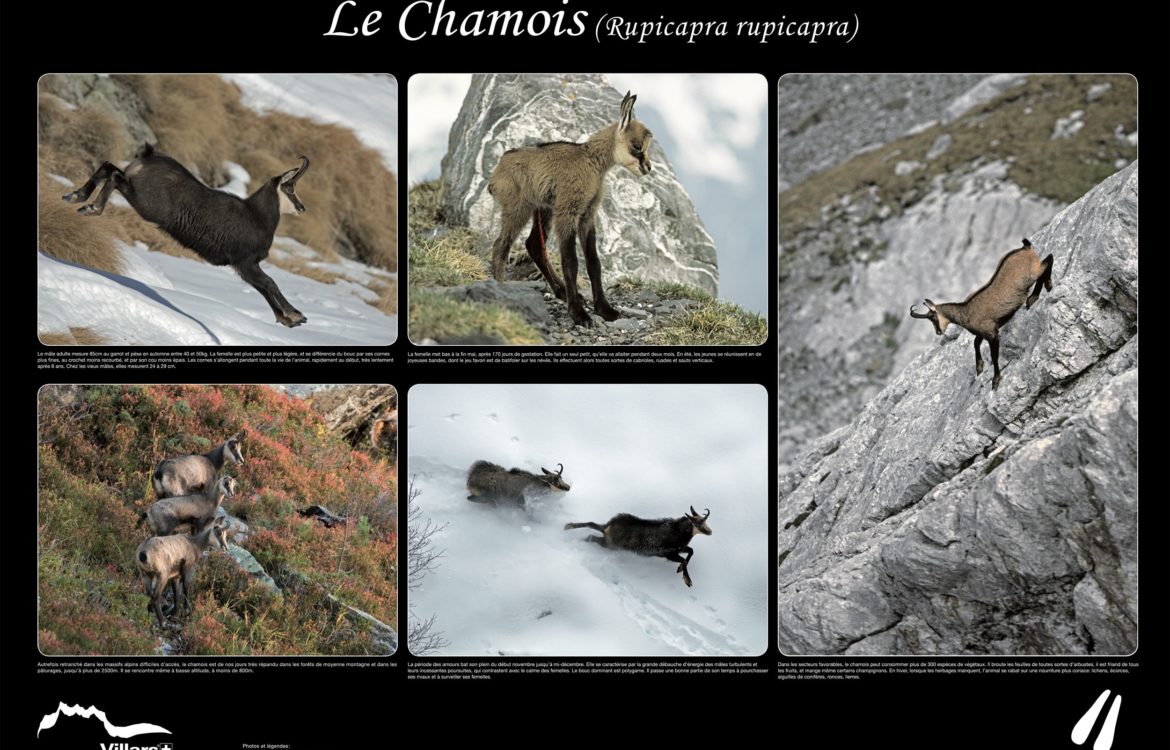 Panneaux Didactiques